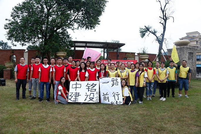 團(tuán)隊(duì)協(xié)作展活力，凝心聚力鑄輝煌